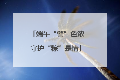 端午“警”色浓 守护“粽”是情