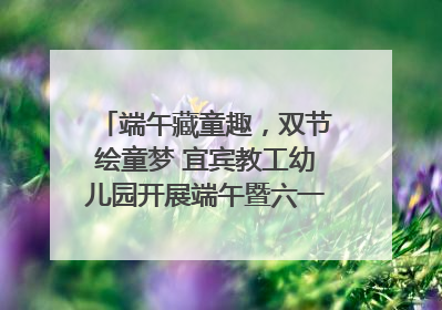 端午藏童趣，双节绘童梦 宜宾教工幼儿园开展端午暨六一亲子游园活动