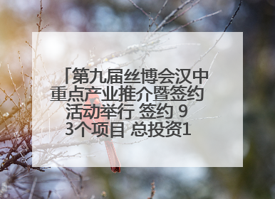第九届丝博会汉中重点产业推介暨签约活动举行 签约 93个项目 总投资132.23 亿元