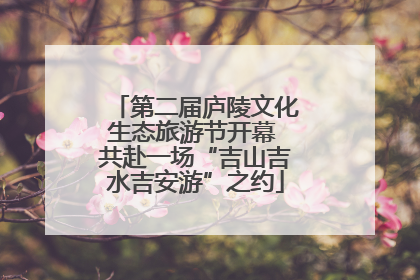 第二届庐陵文化生态旅游节开幕 共赴一场“吉山吉水吉安游”之约