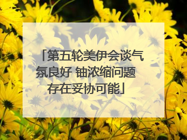 第五轮美伊会谈气氛良好 铀浓缩问题存在妥协可能
