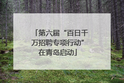 第六届“百日千万招聘专项行动”在青岛启动