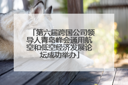 第六届跨国公司领导人青岛峰会通用航空和低空经济发展论坛成功举办