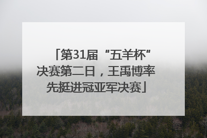 第31届“五羊杯”决赛第二日，王禹博率先挺进冠亚军决赛