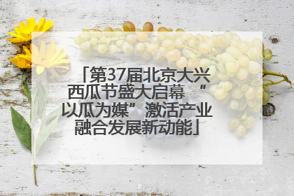 第37届北京大兴西瓜节盛大启幕 “以瓜为媒”激活产业融合发展新动能