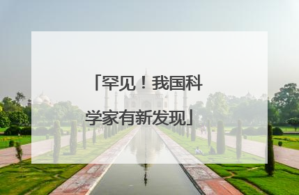罕见！我国科学家有新发现