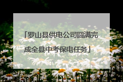 罗山县供电公司圆满完成全县中考保电任务