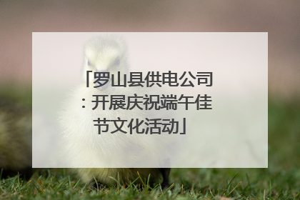 罗山县供电公司：开展庆祝端午佳节文化活动