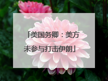 美国务卿：美方未参与打击伊朗