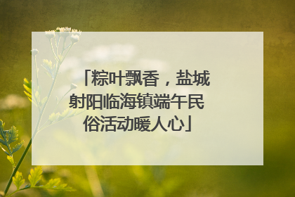 粽叶飘香，盐城射阳临海镇端午民俗活动暖人心
