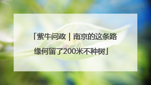 紫牛问政｜南京的这条路缘何留了200米不种树