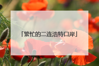 繁忙的二连浩特口岸