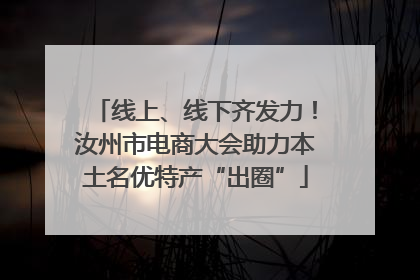 线上、线下齐发力！汝州市电商大会助力本土名优特产“出圈”