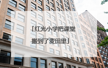 红光小学把课堂搬到了麦田里