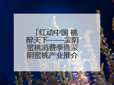 红动中国 桃醉天下——蒙阴蜜桃消费季暨蒙阴蜜桃产业推介会成功举办