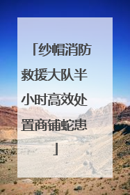 纱帽消防救援大队半小时高效处置商铺蛇患