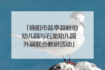 绵阳市盐亭县岐伯幼儿园与石龙幼儿园开展联合教研活动