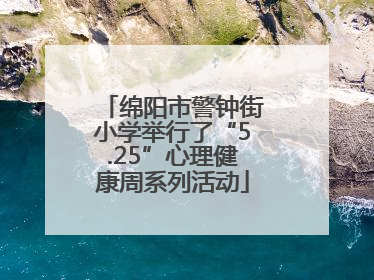 绵阳市警钟街小学举行了“5.25”心理健康周系列活动