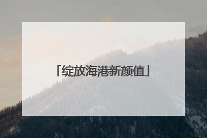 绽放海港新颜值