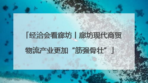 经洽会看廊坊丨廊坊现代商贸物流产业更加“筋强骨壮”