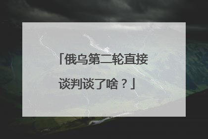 俄乌第二轮直接谈判谈了啥？