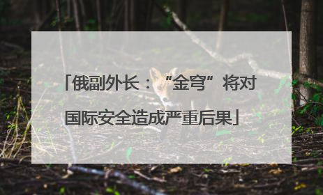 俄副外长：“金穹”将对国际安全造成严重后果