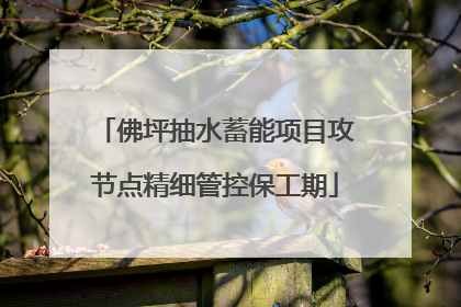 佛坪抽水蓄能项目攻节点精细管控保工期