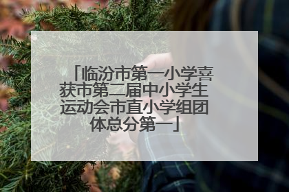 临汾市第一小学喜获市第二届中小学生运动会市直小学组团体总分第一
