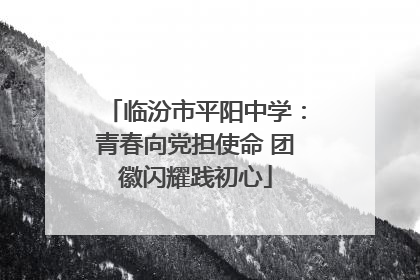 临汾市平阳中学：青春向党担使命 团徽闪耀践初心