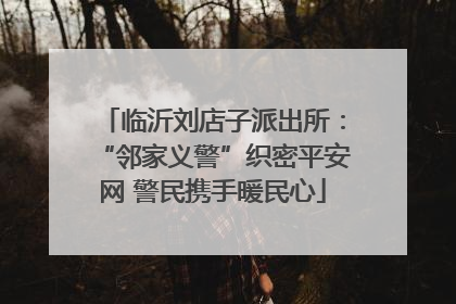 临沂刘店子派出所：“邻家义警”织密平安网 警民携手暖民心