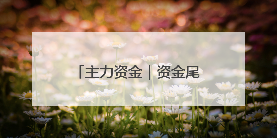 主力资金｜资金尾盘抢筹2股超亿元