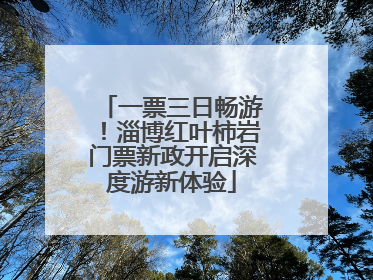 一票三日畅游！淄博红叶柿岩门票新政开启深度游新体验