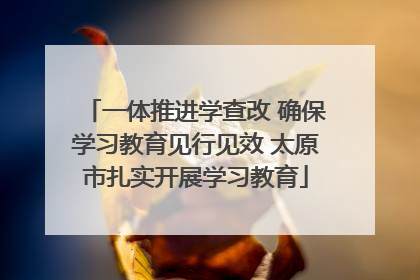 一体推进学查改 确保学习教育见行见效 太原市扎实开展学习教育