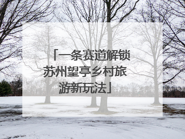 一条赛道解锁苏州望亭乡村旅游新玩法