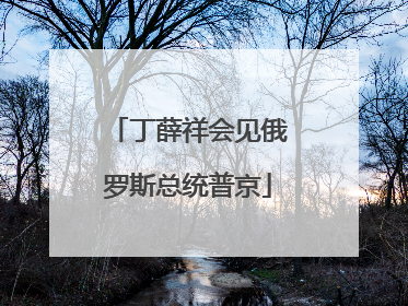 丁薛祥会见俄罗斯总统普京