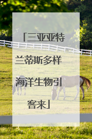 三亚亚特兰蒂斯多样海洋生物引客来