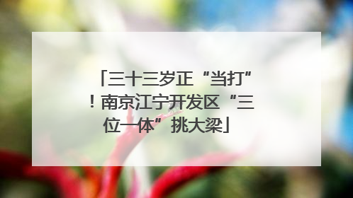 三十三岁正“当打”！南京江宁开发区“三位一体”挑大梁
