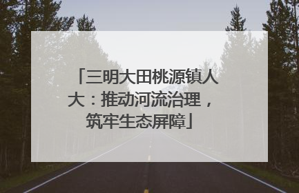 三明大田桃源镇人大：推动河流治理，筑牢生态屏障