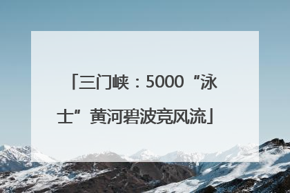 三门峡：5000“泳士”黄河碧波竞风流