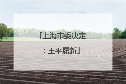 上海市委决定：王平履新