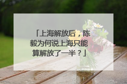上海解放后，陈毅为何说上海只能算解放了一半？