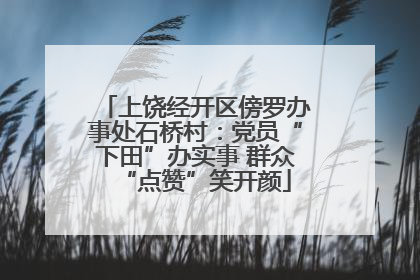 上饶经开区傍罗办事处石桥村：党员“下田”办实事 群众“点赞”笑开颜