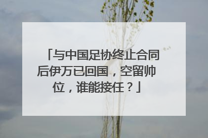 与中国足协终止合同后伊万已回国，空留帅位，谁能接任？