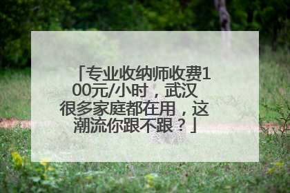 专业收纳师收费100元/小时，武汉很多家庭都在用，这潮流你跟不跟？