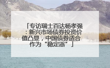 专访瑞士百达杨孝强：新兴市场债券投资价值凸显，中国债券适合作为“稳定器”