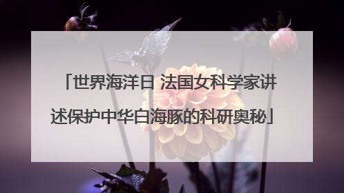 世界海洋日 法国女科学家讲述保护中华白海豚的科研奥秘