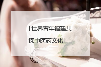 世界青年福建共探中医药文化