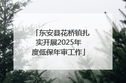 东安县花桥镇扎实开展2025年度低保年审工作