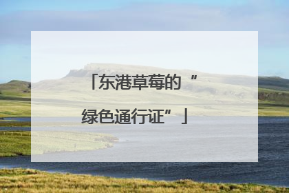 东港草莓的“绿色通行证”
