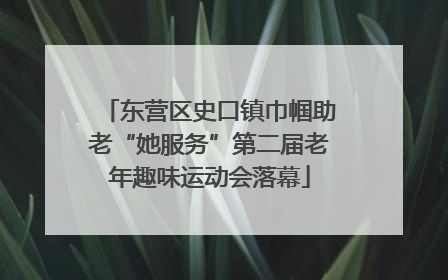东营区史口镇巾帼助老“她服务”第二届老年趣味运动会落幕